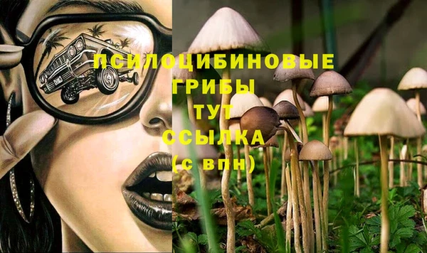 амф Абинск