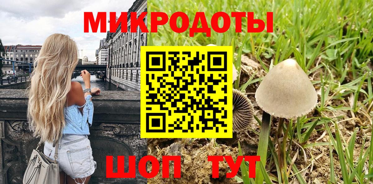 Раменское  Псилоцибиновые грибы GOLDEN TEACHER  Вход с VPN  Галлюциногенные грибы прущие грибы 