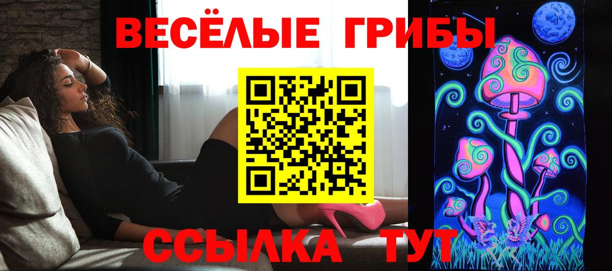 Галлюциногенные грибы GOLDEN TEACHER Раменское